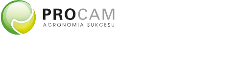 Wielka Fabryka Elfów Online